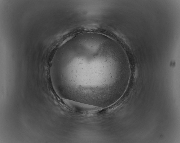 X0000089911445200707060949