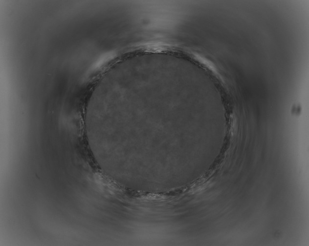 X0000089911446200707060949