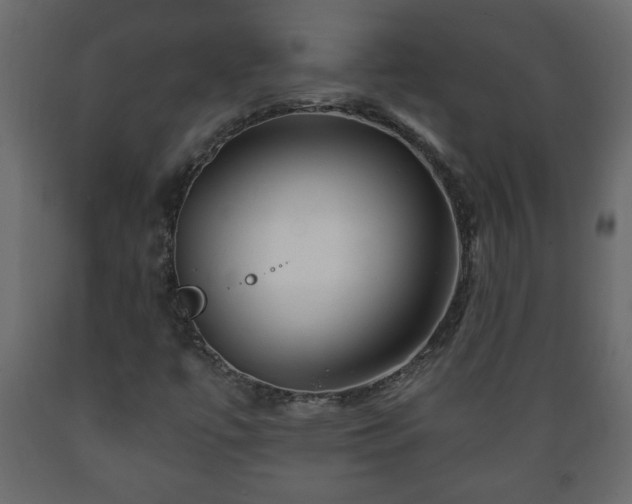 X0000089911447200707060949