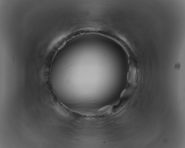X0000089911448200707060949