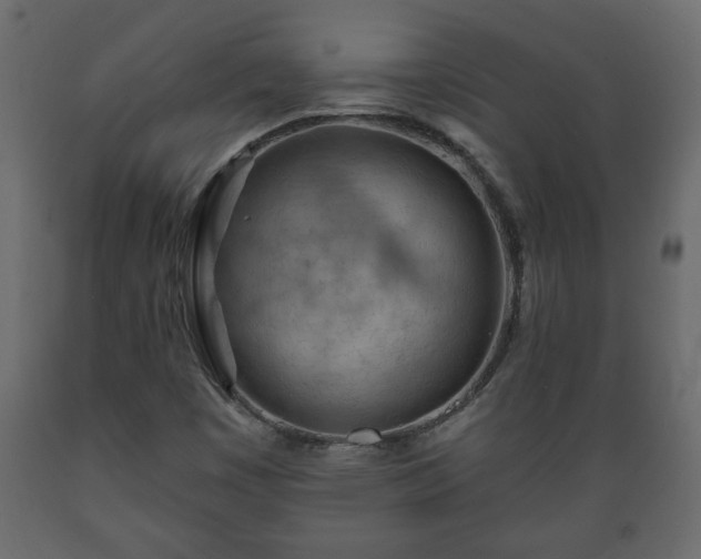 X0000089911449200707060949
