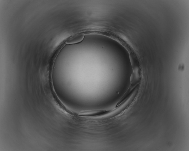 X0000089911450200707060949