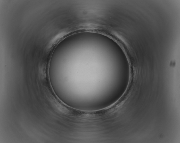 X0000089911451200707060949