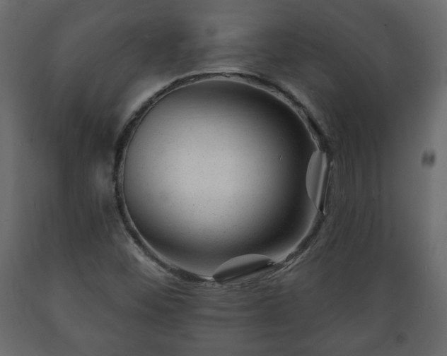 X0000089911452200707060949