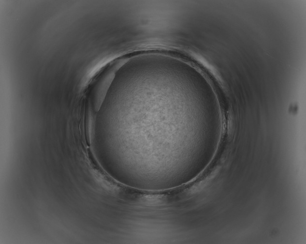 X0000089911453200707060949