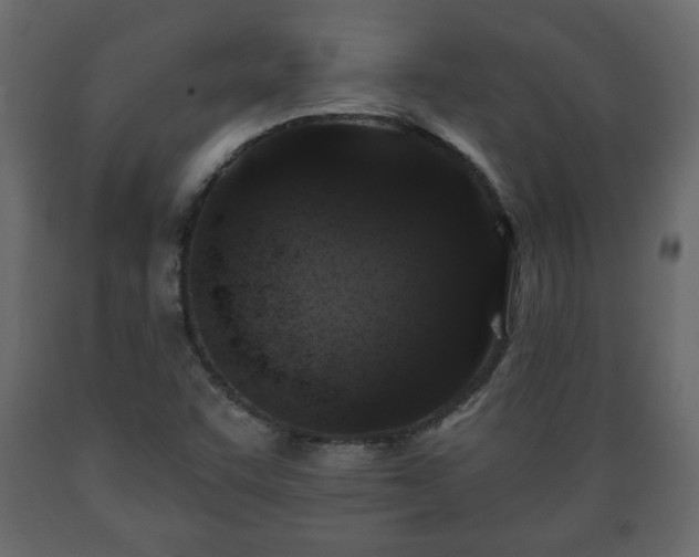 X0000089911455200707060949