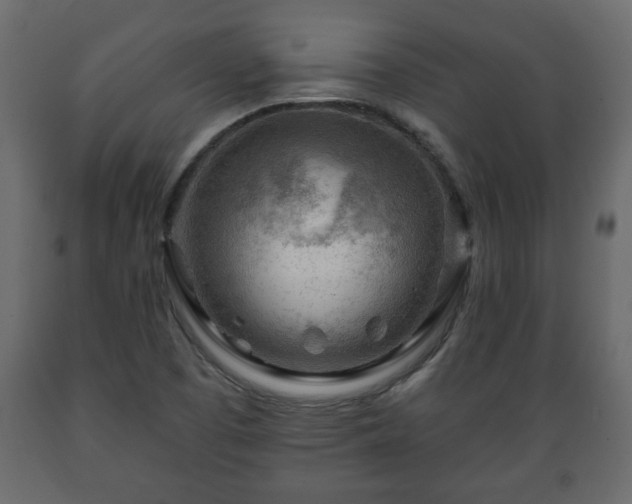 X0000089911457200707060949