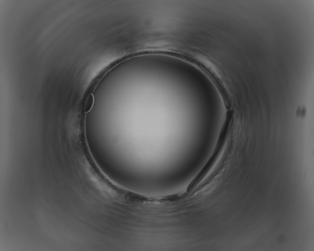 X0000089911458200707060949