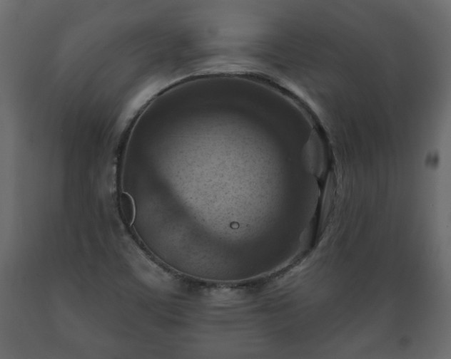 X0000089911459200707060949