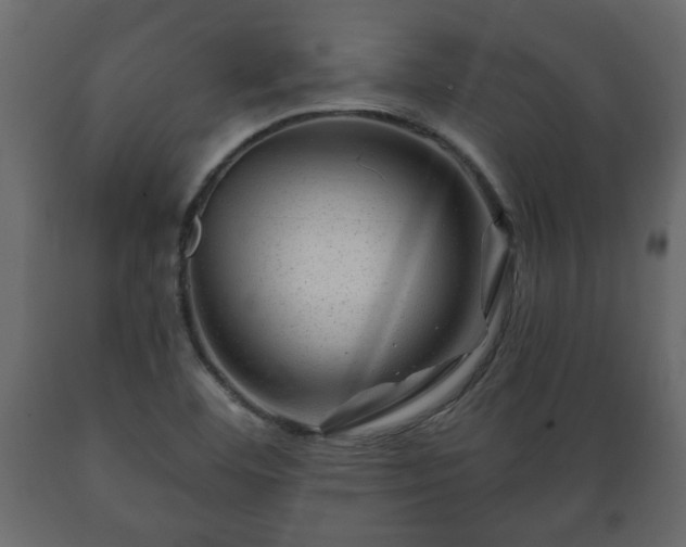 X0000089911460200707060949