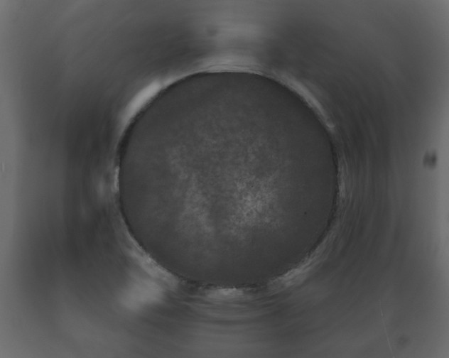 X0000089911462200707060949