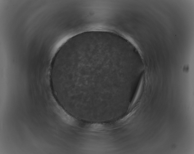 X0000089911463200707060949