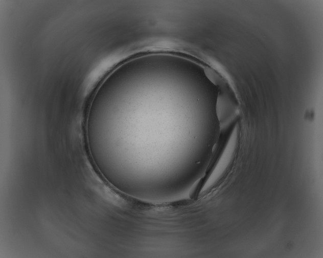 X0000089911464200707060949