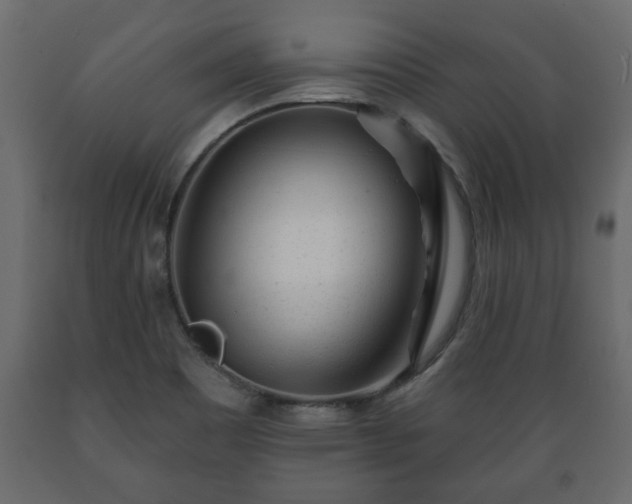 X0000089911465200707060949