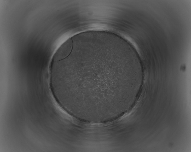 X0000089911467200707060949