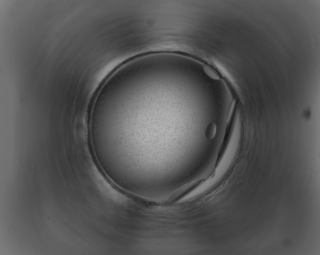 X0000089911468200707060949