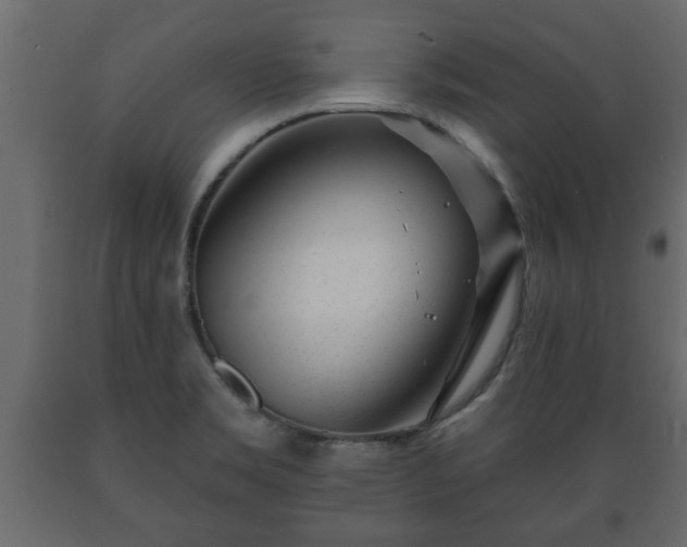 X0000089911469200707060949