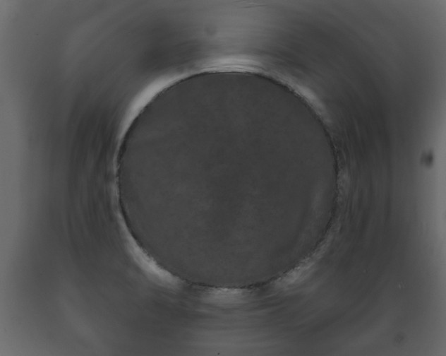 X0000089911470200707060949