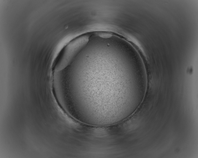 X0000089911472200707060949