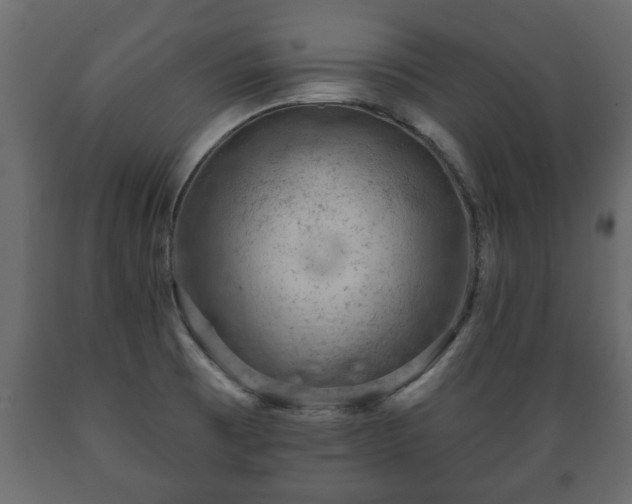 X0000089911473200707060949
