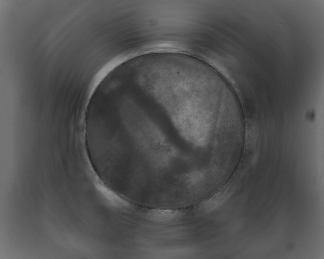 X0000089911474200707060949