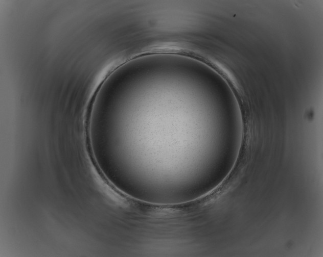 X0000089911475200707060949