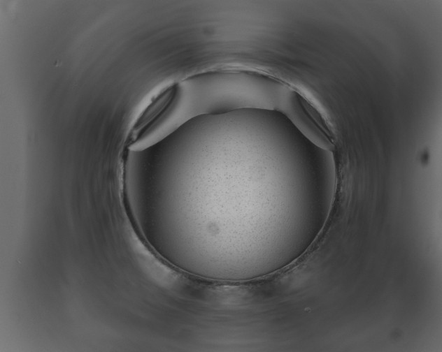 X0000089911476200707060949