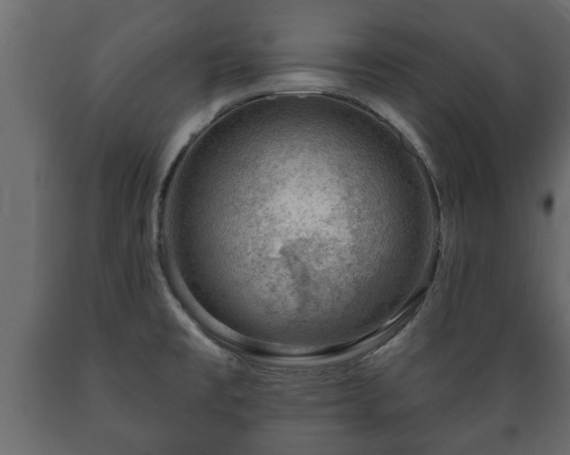 X0000089911477200707060949
