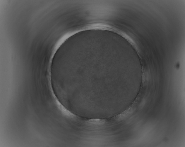 X0000089911478200707060949