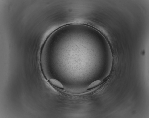 X0000089911480200707060949