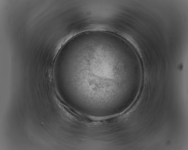 X0000089911481200707060949