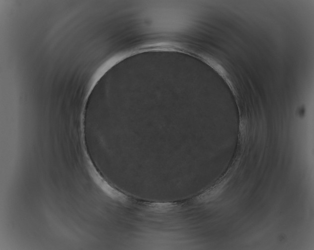 X0000089911482200707060949