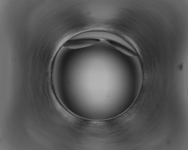 X0000089911483200707060949