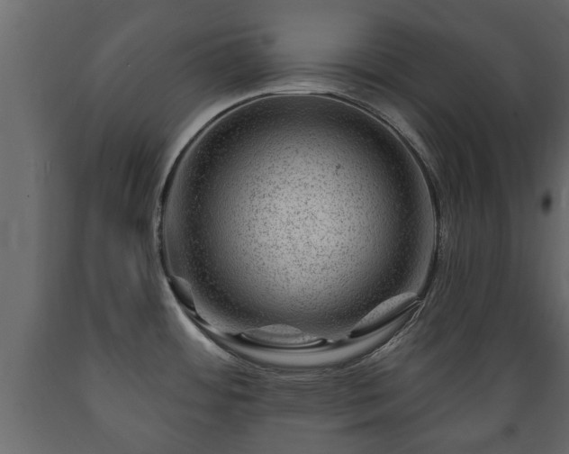 X0000089911484200707060949