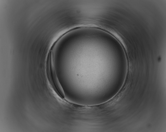 X0000089911485200707060949