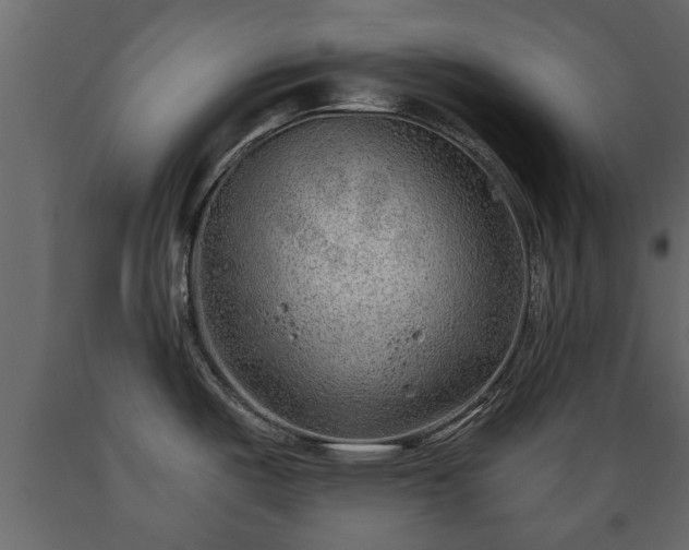 X0000089911487200707060949