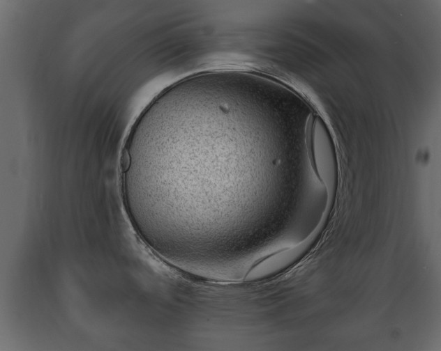 X0000089911488200707060949