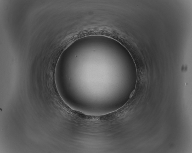 X0000089911489200707060948