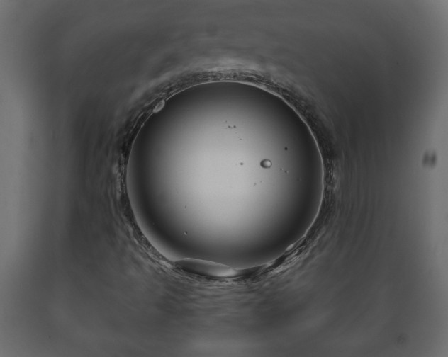 X0000089911493200707060948