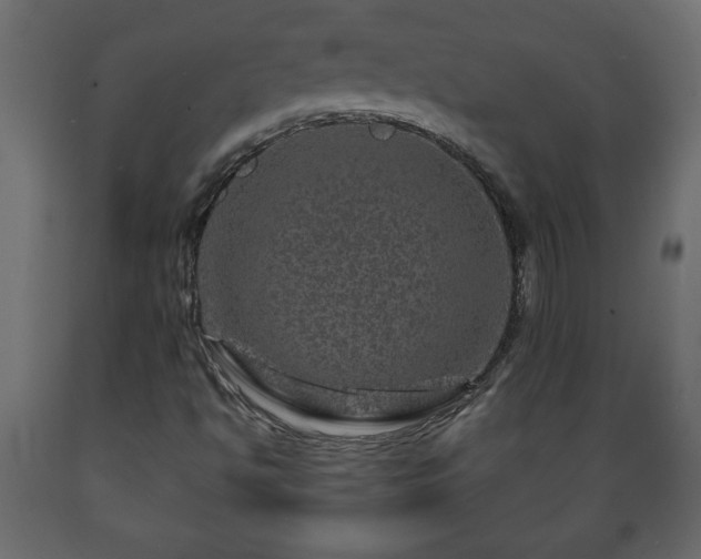 X0000089911494200707060948