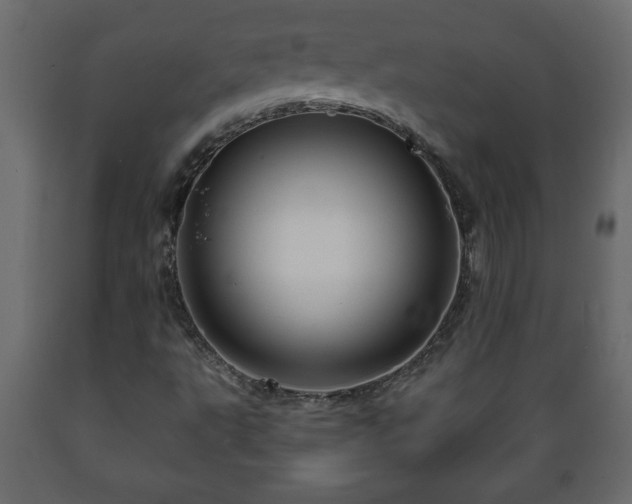 X0000089911495200707060948