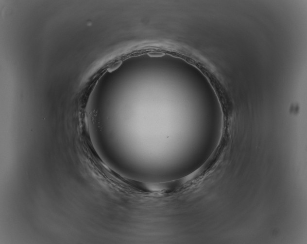 X0000089911496200707060948
