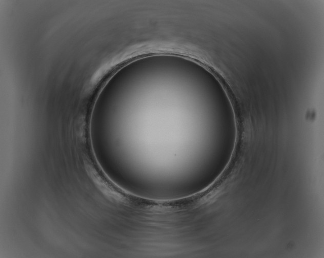 X0000089911499200707060948