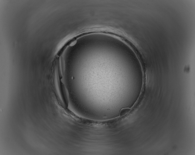 X0000089911501200707060948