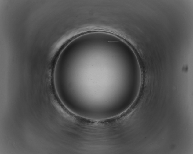 X0000089911503200707060948