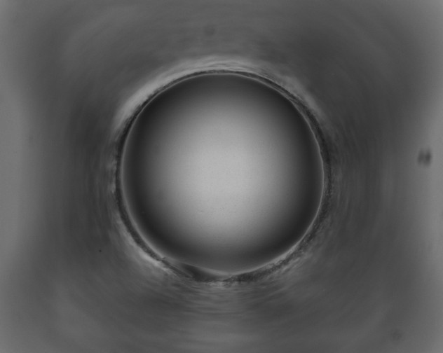 X0000089911504200707060948