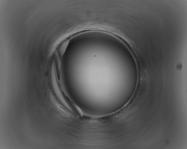 X0000089911507200707060948