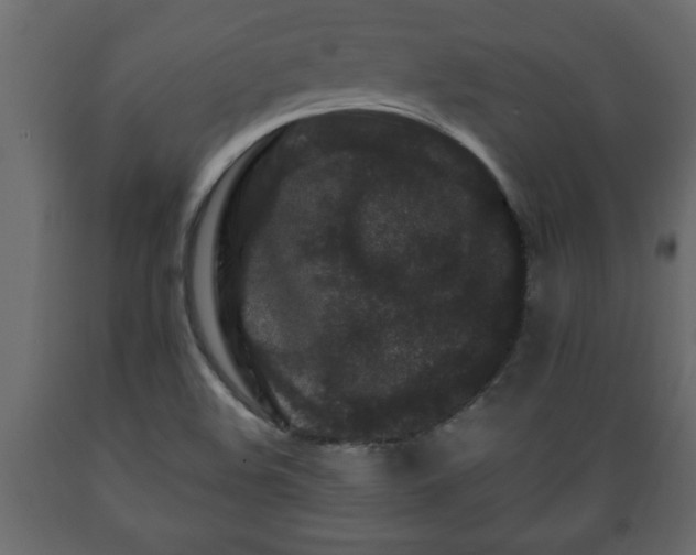 X0000089911508200707060948