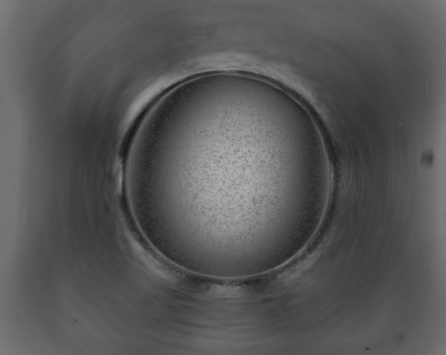 X0000089911509200707060948