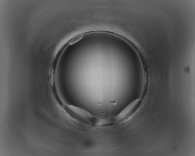 X0000089911510200707060948